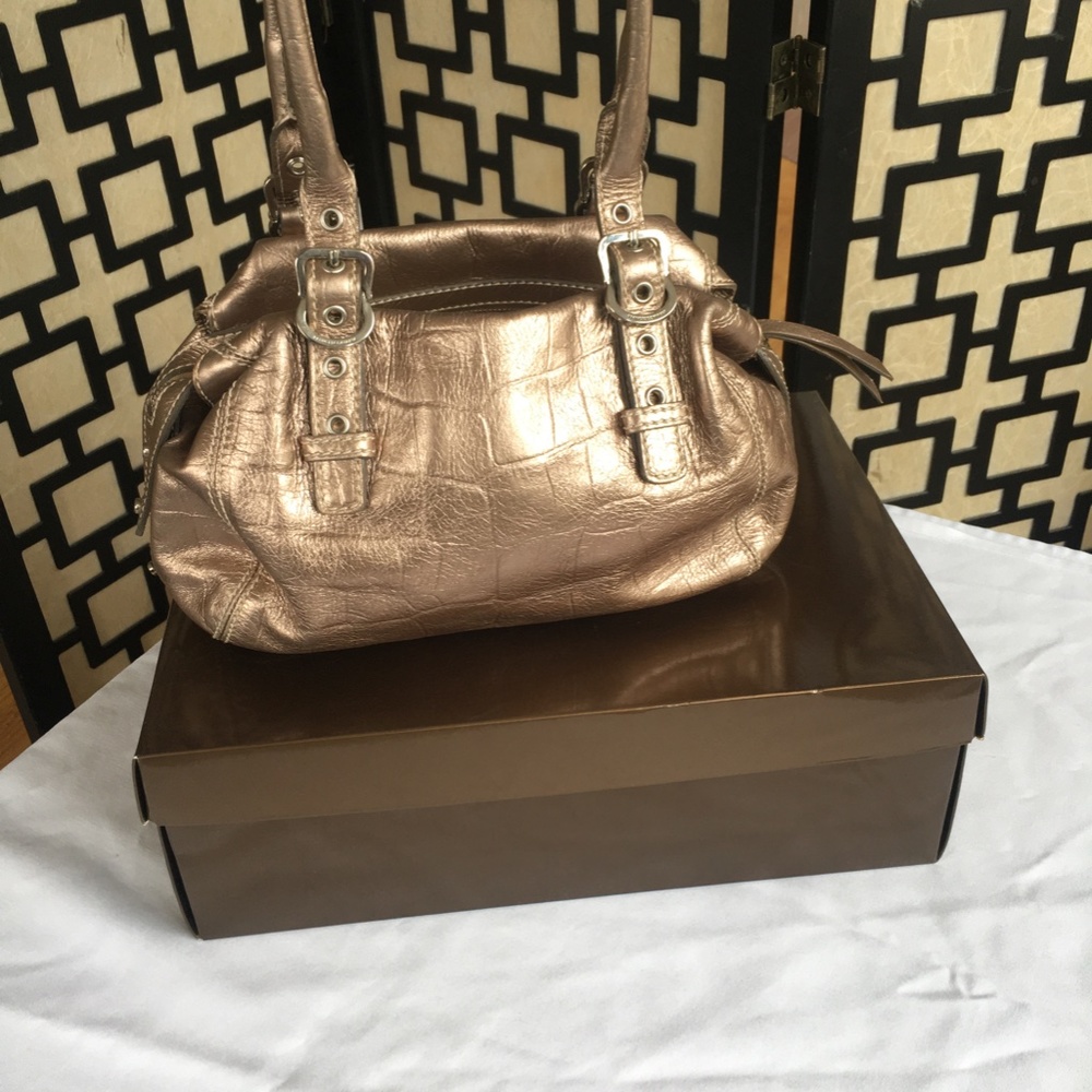 Francesco Biasia Metallic Animal Skin-Like Pattern Purse - Picture 3 of 8